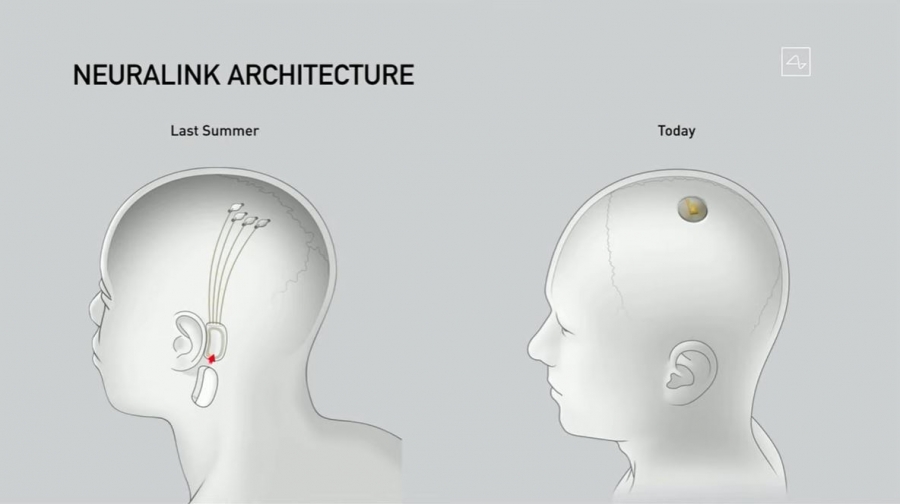 馬斯克用三隻小豬演示Neuralink生化腦技術，披露腦機界面最新成果｜數位時代BusinessNext