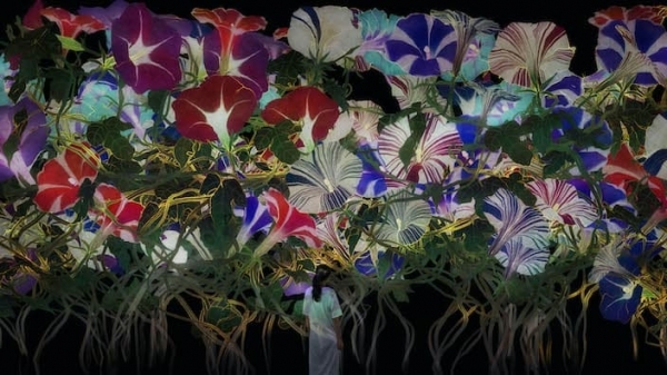圖7 東京台場展出無限繁衍的生命Proliferating Immense Life(圖片提供tea
