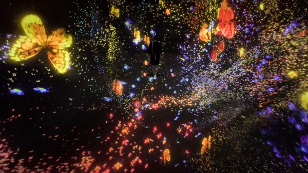 圖9 東京台場展出無邊界的群蝶超然的空間Flutter of Butterflies Beyond