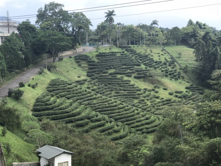 島內觀光資源的機會4