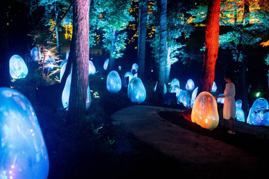 龍貓故鄉的teamlab 體驗 東京近郊 橡子森林 常設展 大自然裡的沉浸式體驗