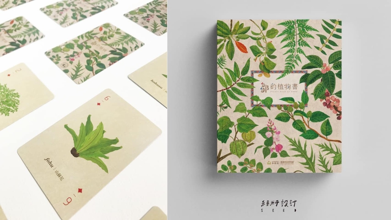 種籽設計操刀 林務局 鄒的植物書 近300 種植物插畫 還推出系列撲克牌 悠遊卡周邊 Shoppingdesign