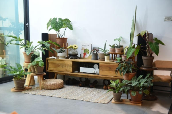 綠意生活的好夥伴 Toto Washlet 打造舒適居家 Shoppingdesign