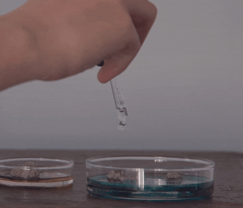 氣味培養皿＿情境照5.gif