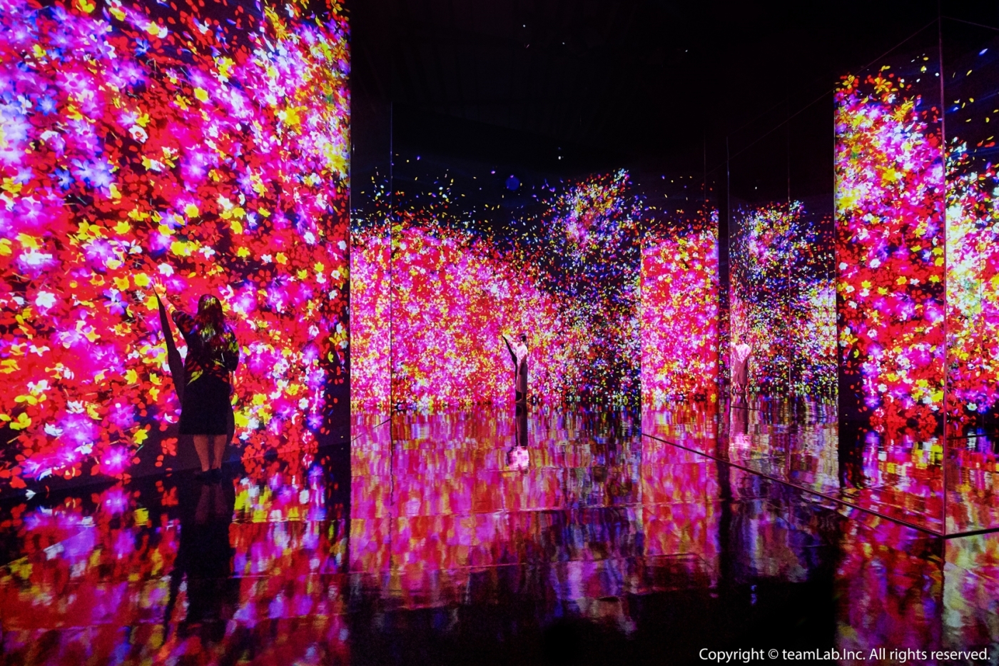 Teamlab 互動藝術展9 大作品公開 未來遊樂園 與花共生的動物們等藝術作品體現共創理念 Shoppingdesign