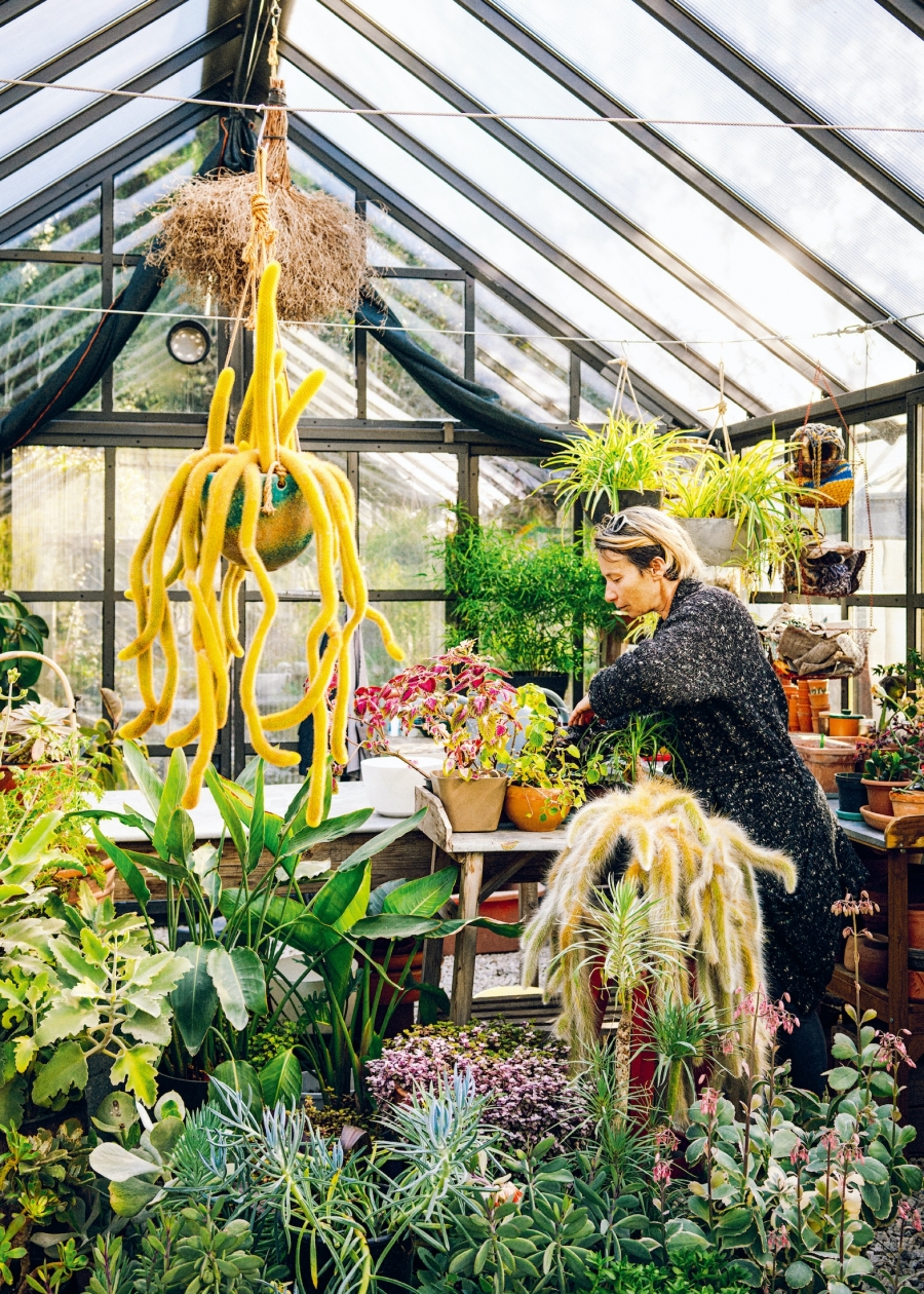 典當城市生活 換一座欣欣向榮的溫室花園照顧身心 拜訪植物學家芬 古克路特的家 Shoppingdesign 典當城市生活 換一座欣欣向榮的溫室花園照顧身心 拜訪植物學家芬 古克路特的家 Shoppingdesign