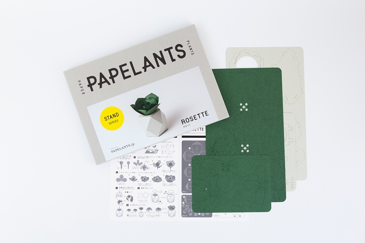 日本手工植物紙雕「PAPELANTS」22.jpeg