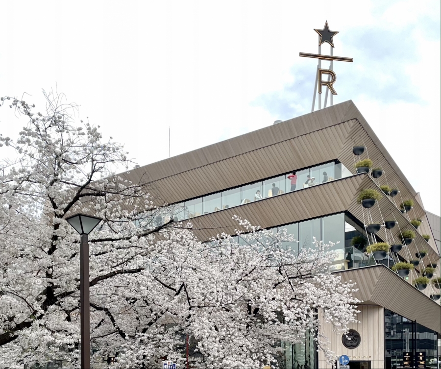 東京的理想生活與寂寞 東京建築女子 作者李昀蓁 除了建築以外 慢慢感受其他風景與季節變化 Shoppingdesign