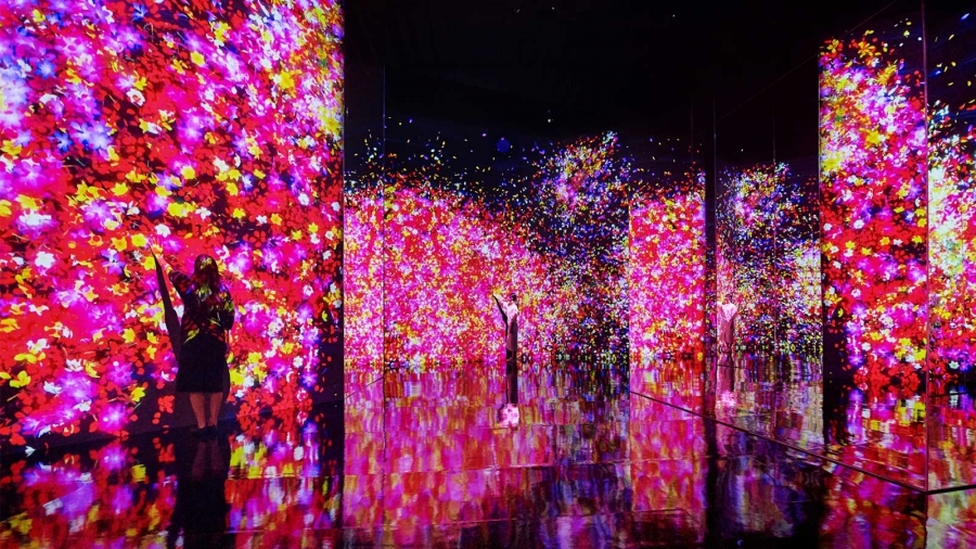 Teamlab 未來遊樂園 10 8 台北士林開展 ９展區作品導覽 21 日本光影互動藝術展 經理人八分生活