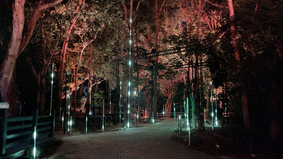 作品6《世界樹之泉World Tree Fountain》當若科技藝術+辛綺iF+ +Xin Qi_