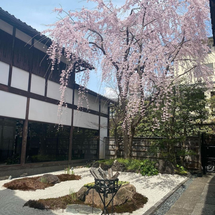 京都和菓子名店 然花抄院 登台 將百年歷史 茶道美學糅入甜點 品一口純粹的美 Shoppingdesign