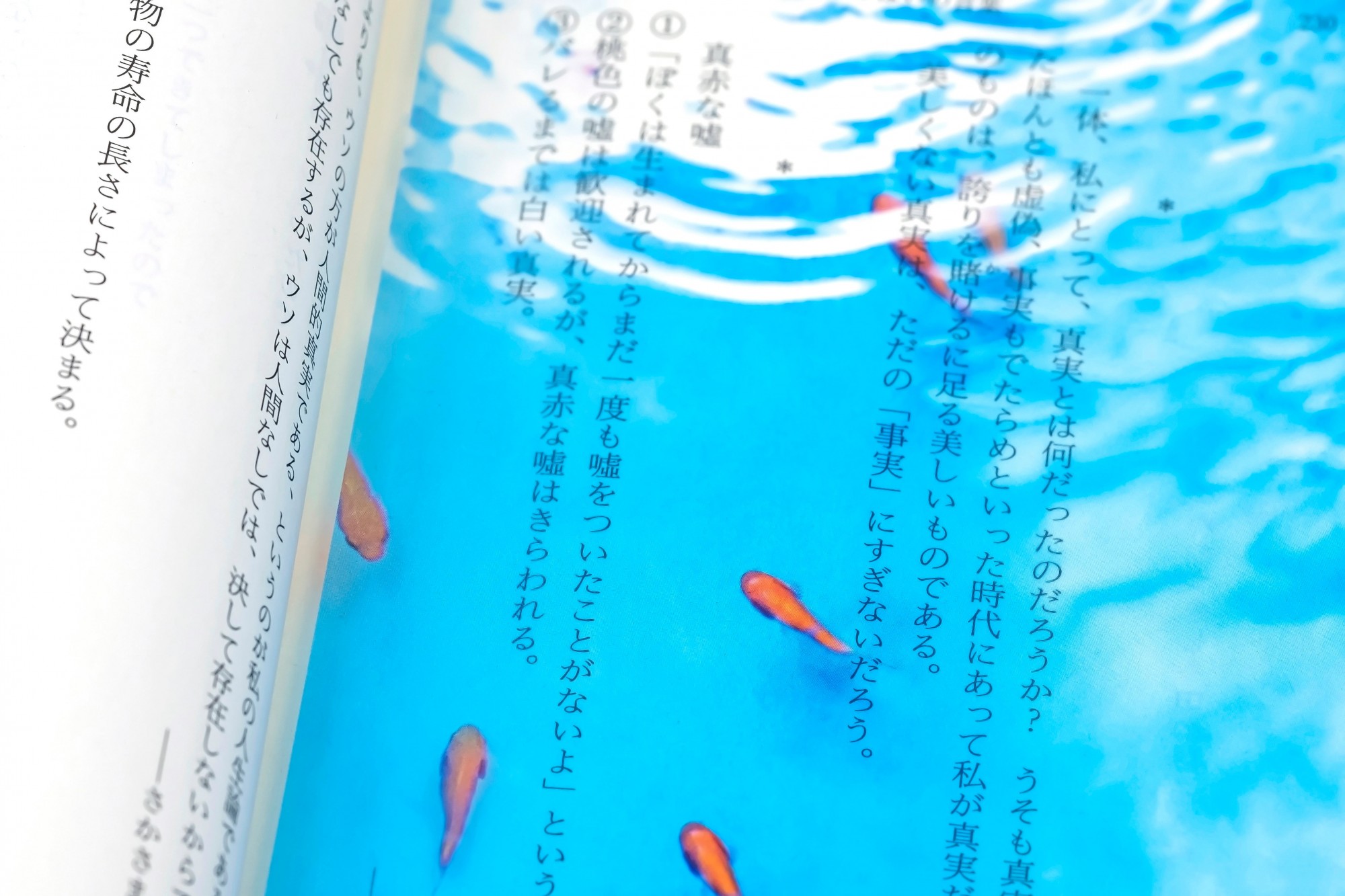 日本透明金魚游水書籤13.jpeg