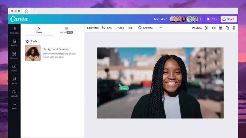 canva video remove