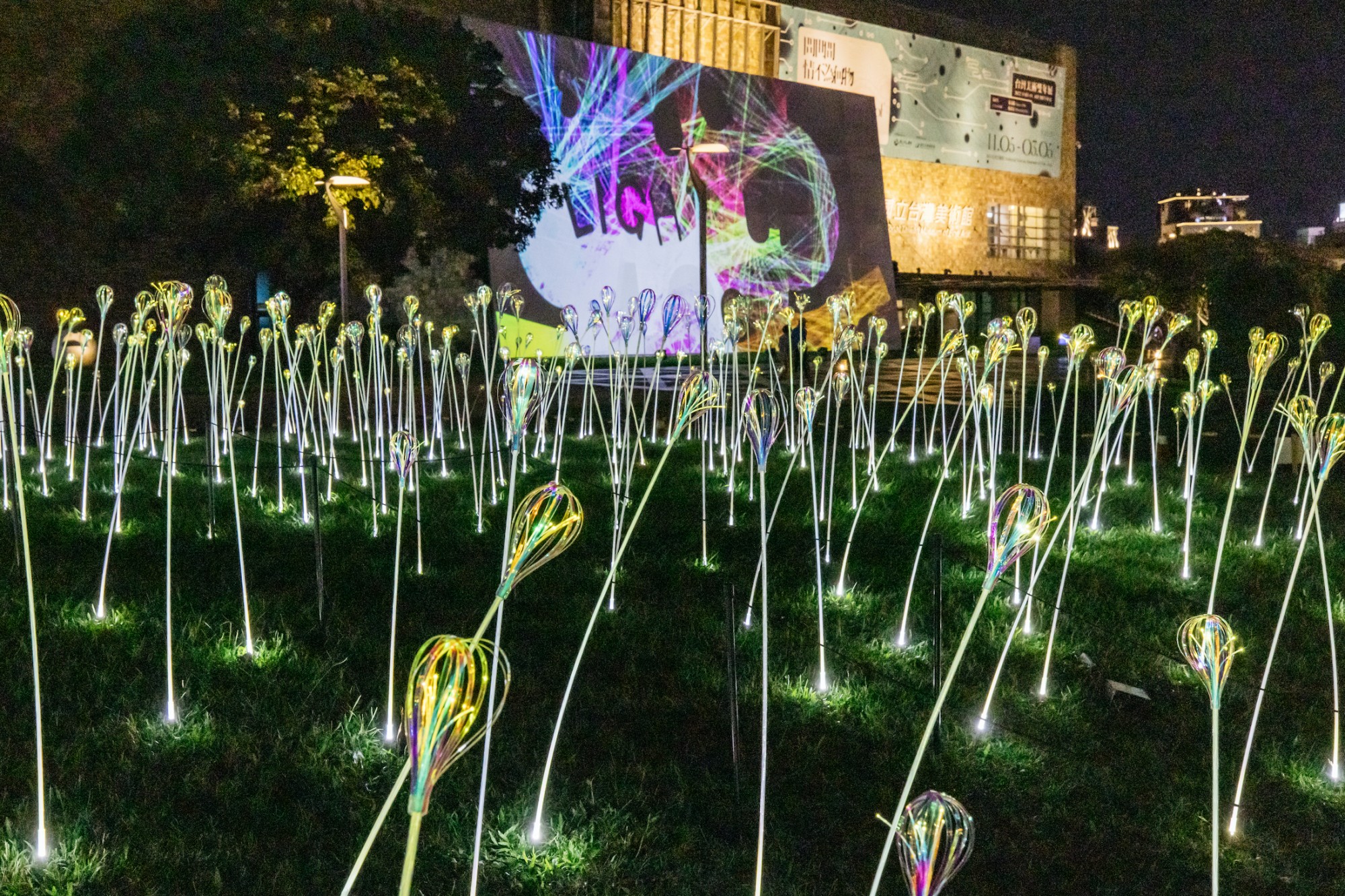 2023臺灣國際光影藝術節-08_植光花與01_反射研究.jpg