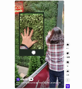 Touch Grass