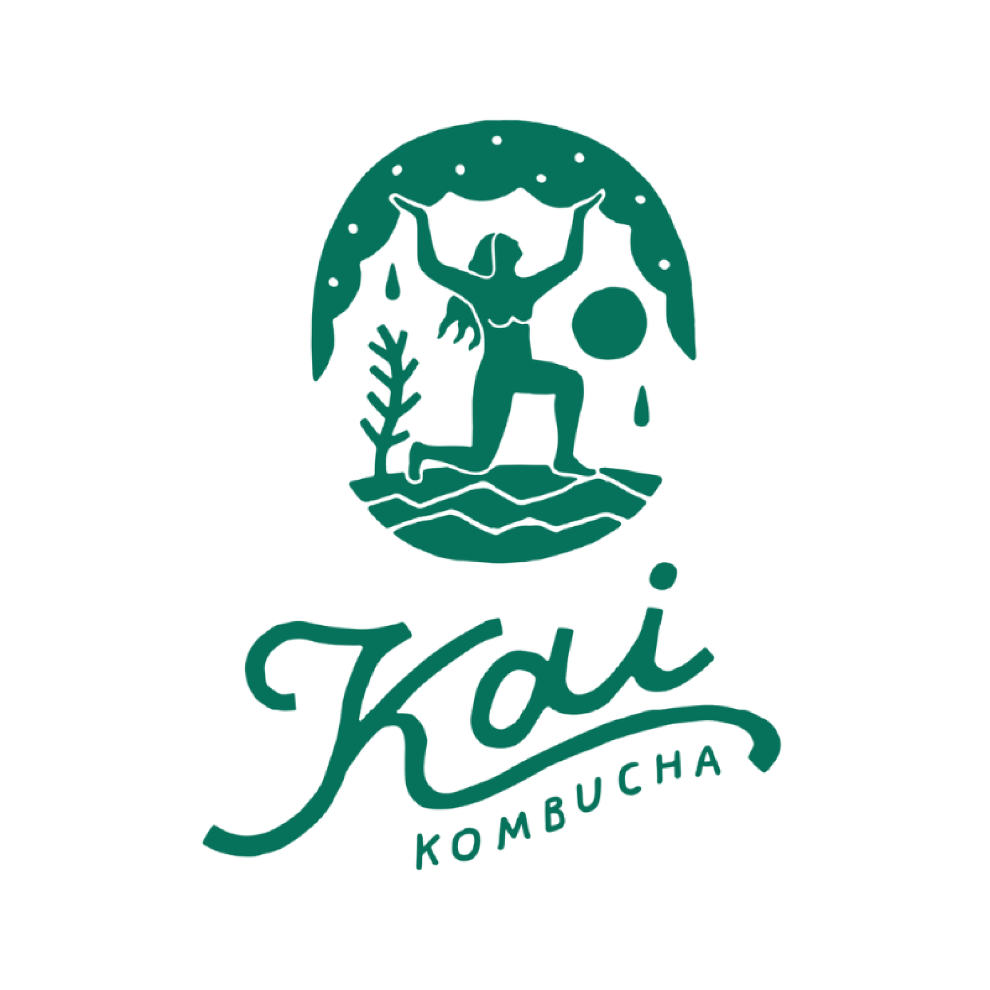 Kai康普茶